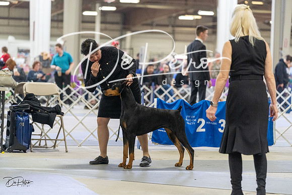 20230304-DSC07854