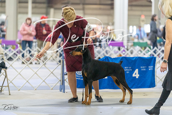 20230304-DSC07881