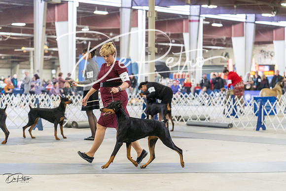 20230304-DSC07890