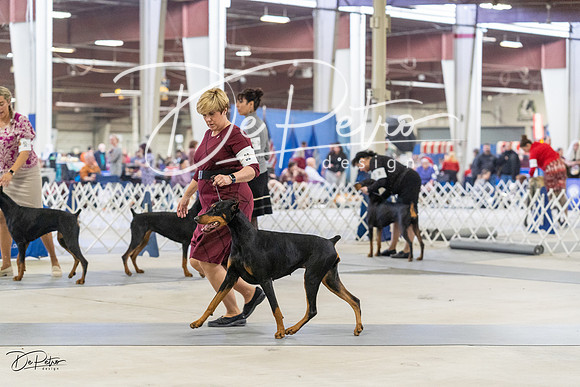 20230304-DSC07892