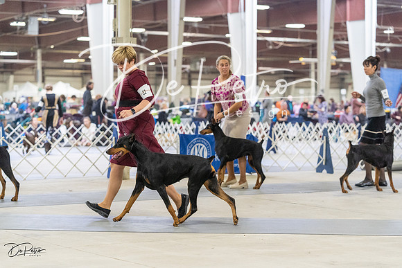20230304-DSC07901