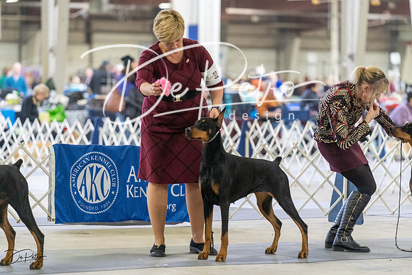 20230304-DSC07918