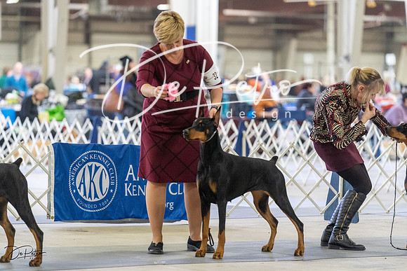 20230304-DSC07919