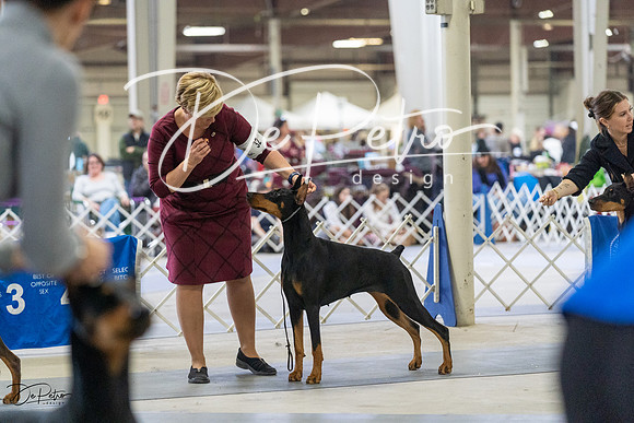 20230304-DSC07936