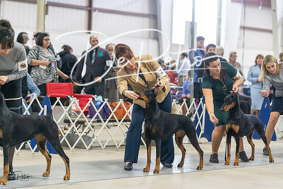 20230304-DSC07956