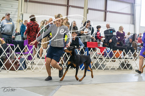 20230304-DSC07973