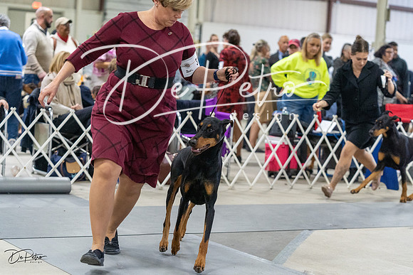 20230304-DSC07984