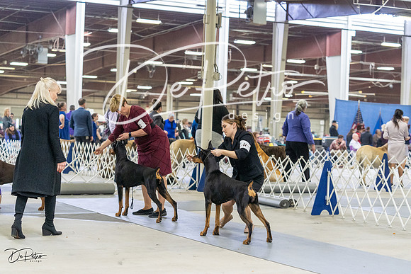 20230304-DSC08001