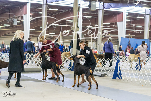 20230304-DSC08002