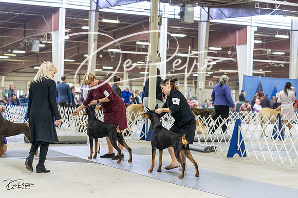 20230304-DSC08003