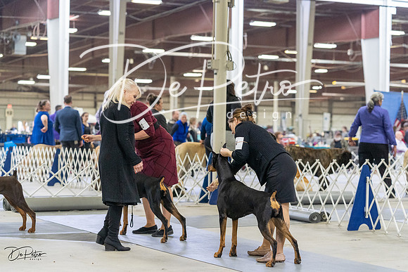 20230304-DSC08006