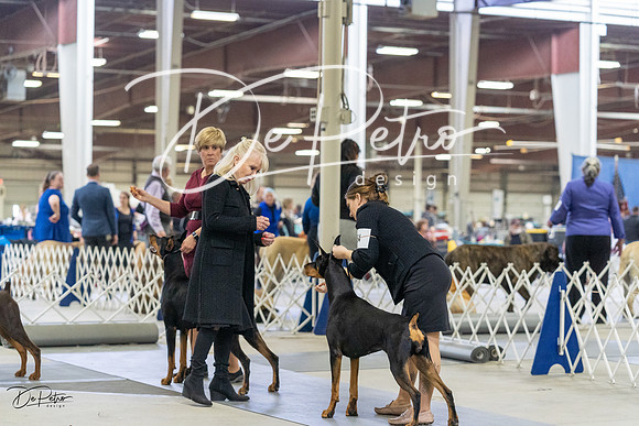 20230304-DSC08010