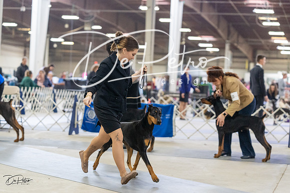 20230304-DSC08024