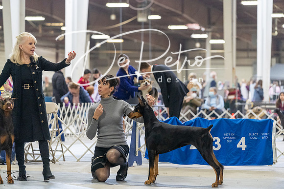 20230304-DSC08041