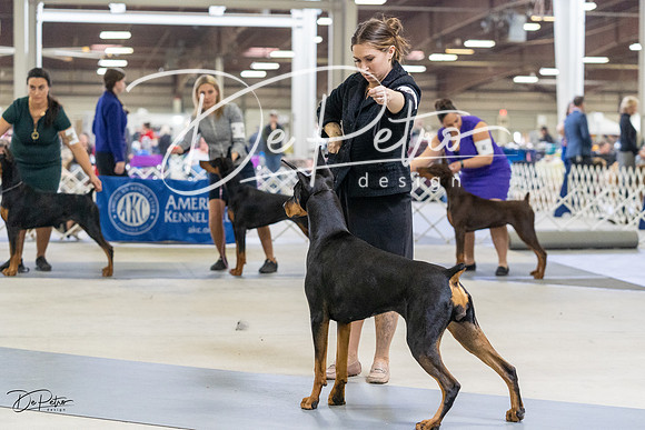 20230304-DSC08043