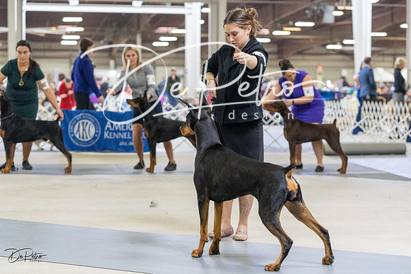 20230304-DSC08044