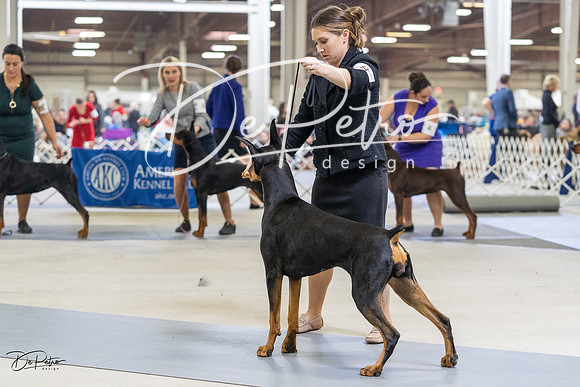 20230304-DSC08045