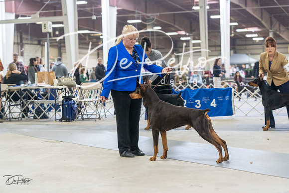 20230304-DSC08057