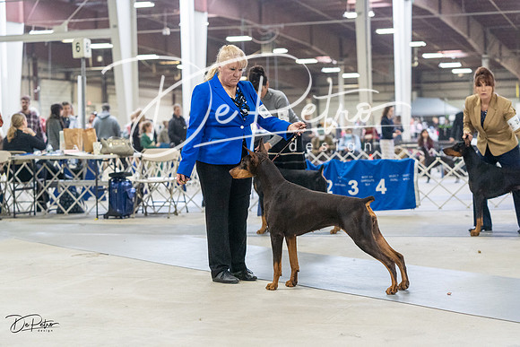 20230304-DSC08058