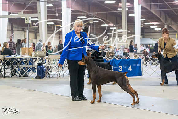 20230304-DSC08059