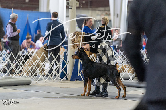 20230304-DSC08062