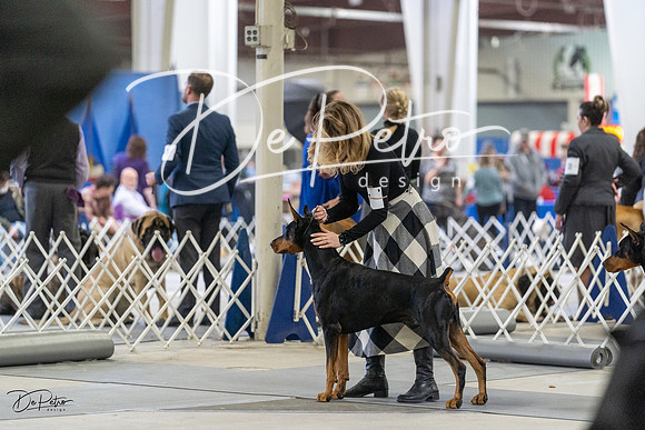 20230304-DSC08067