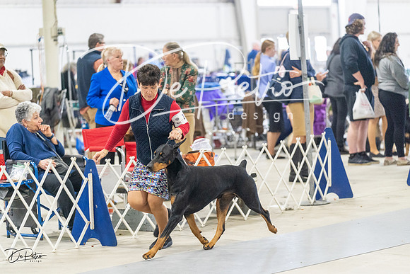 20230304-DSC08329