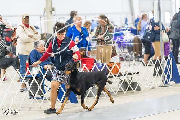 20230304-DSC08331