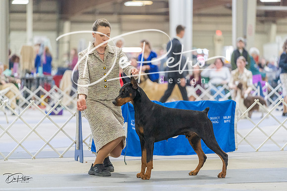 20230304-DSC08395