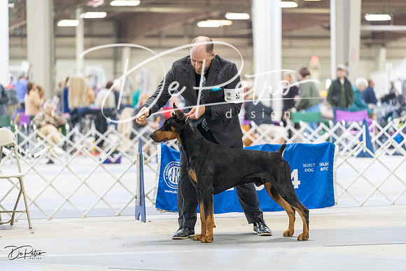 20230304-DSC08450