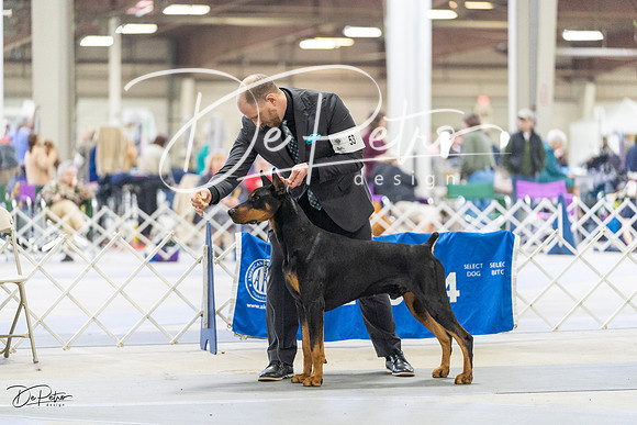 20230304-DSC08455