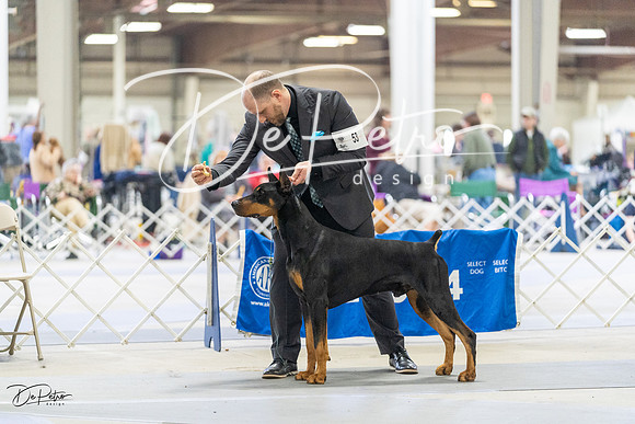 20230304-DSC08456