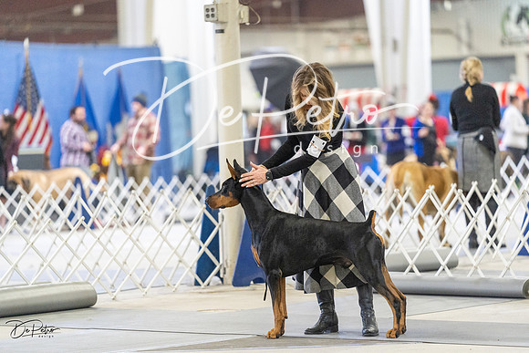 20230304-DSC08458