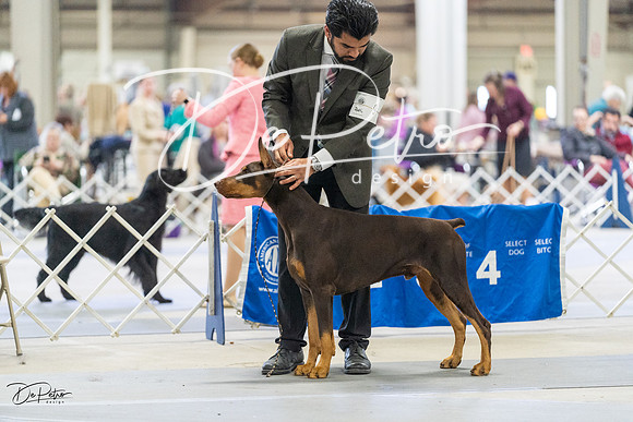 20230304-DSC08490