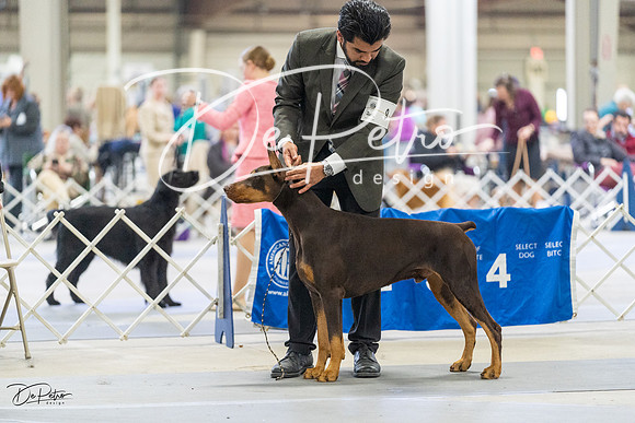 20230304-DSC08491