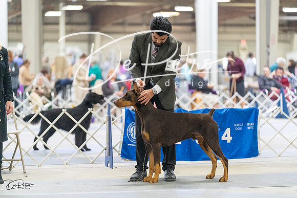 20230304-DSC08492