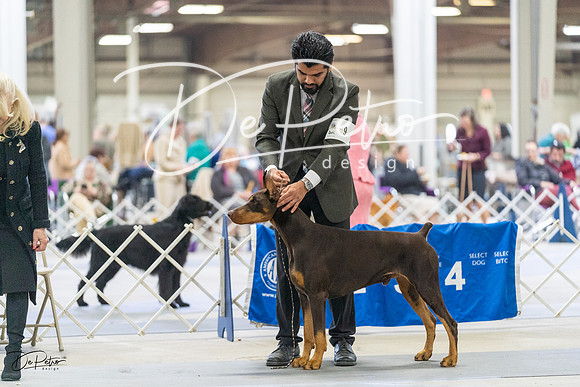 20230304-DSC08494
