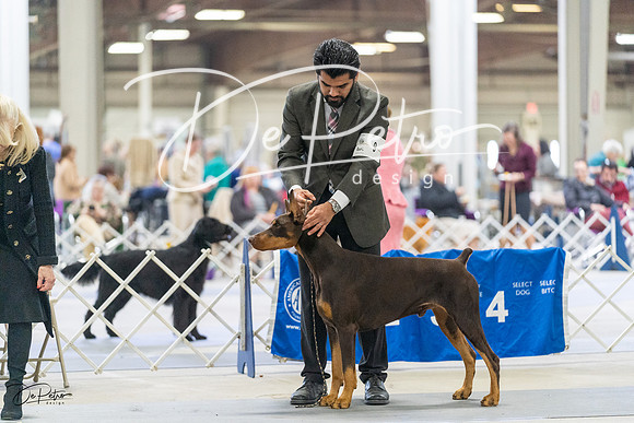 20230304-DSC08495