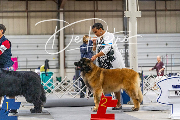 20230304-DSC00904