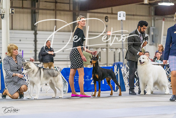 20230304-DSC00915