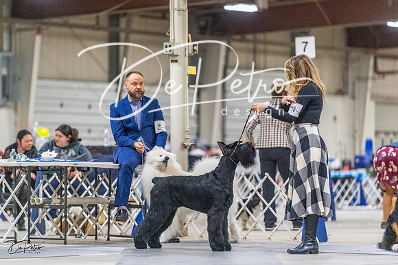 20230304-DSC00919