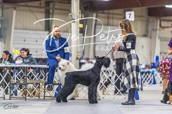 20230304-DSC00921
