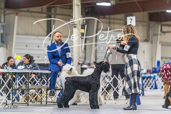 20230304-DSC00920