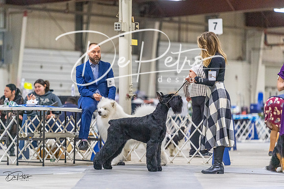20230304-DSC00922