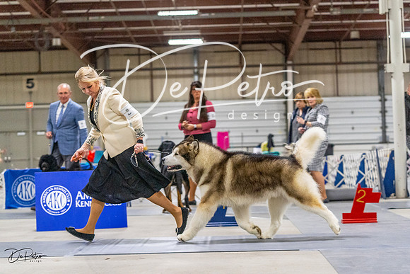 20230304-DSC00932