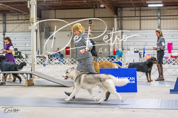 20230304-DSC00951