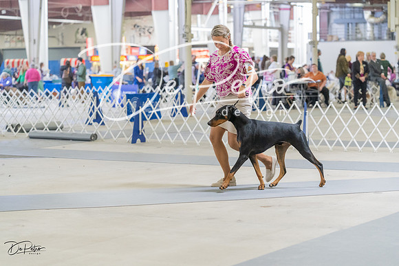 20230304-DSC07453