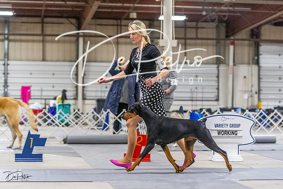 20230304-DSC00996