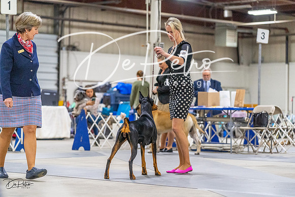 20230304-DSC01013