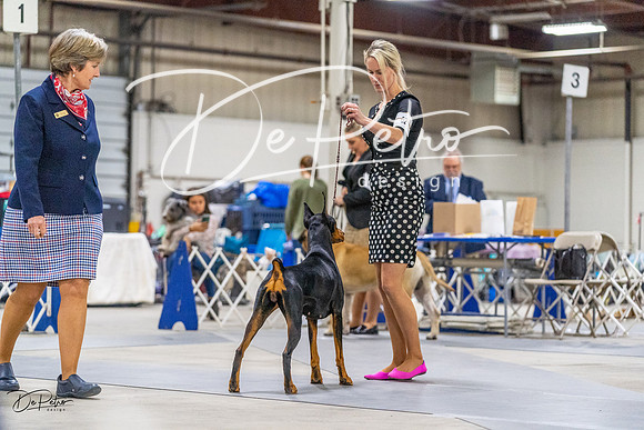 20230304-DSC01014